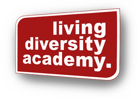 diversity academy