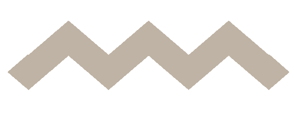 living diversity Vielfalt Beratung Zick Zack Linie.png